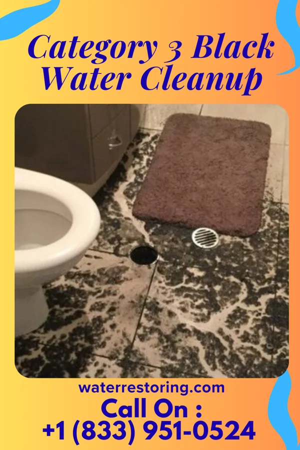 Category 3 Black Water Cleanup in Scotts Hill, TN