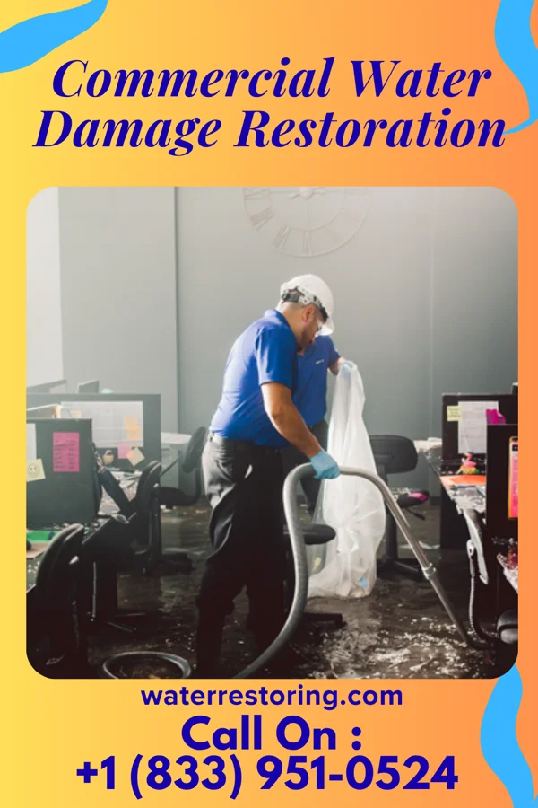 Commercial Water Damage Restoration in Scotts Hill, TN