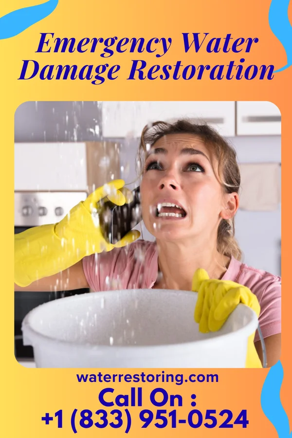 Emergency Water Damage Restoration in Scotts Hill, TN