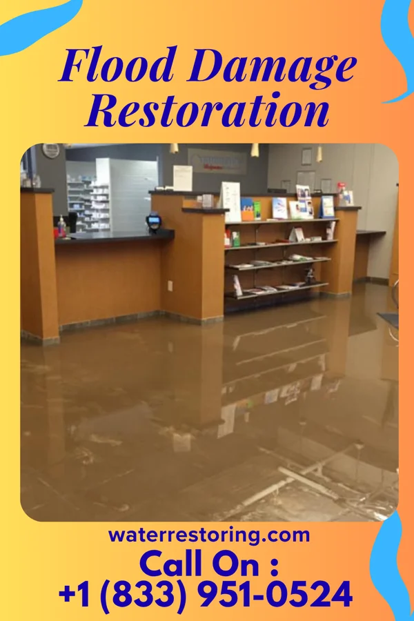 Flood Damage Restoration in Scotts Hill, TN