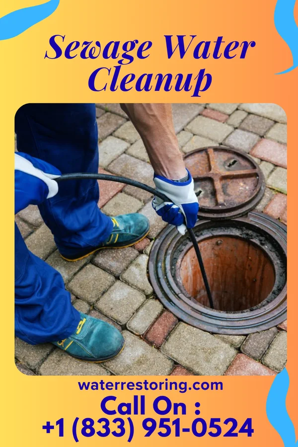Sewage Water Cleanup in Scotts Hill, TN