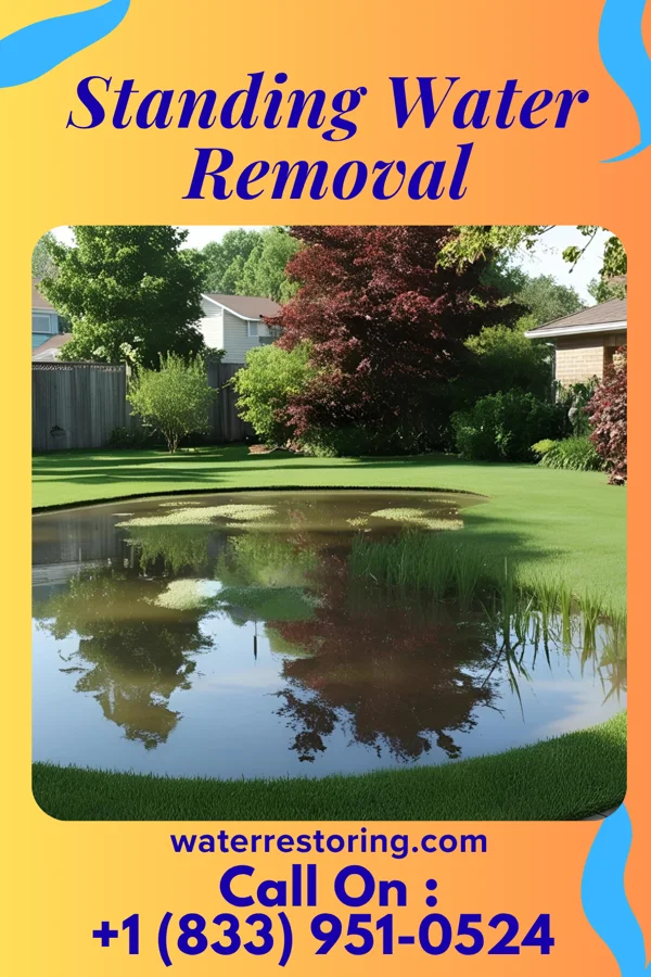 Standing Water Removal in Scotts Hill, TN